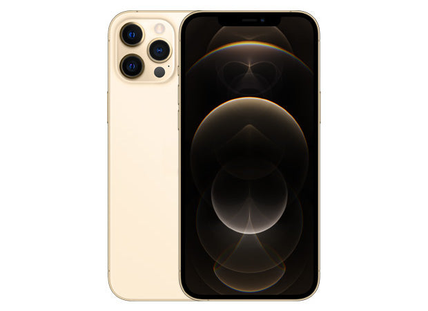 iP 12 Pro Max Service