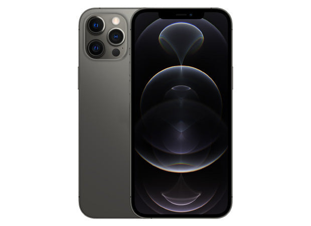 iP 12 Pro Max Service