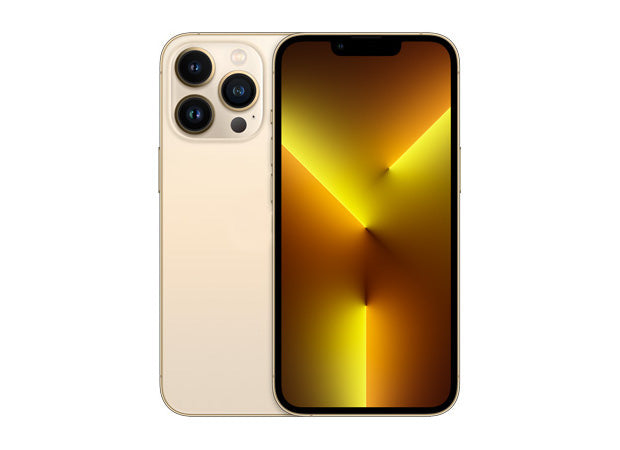 iP 13 Pro Service