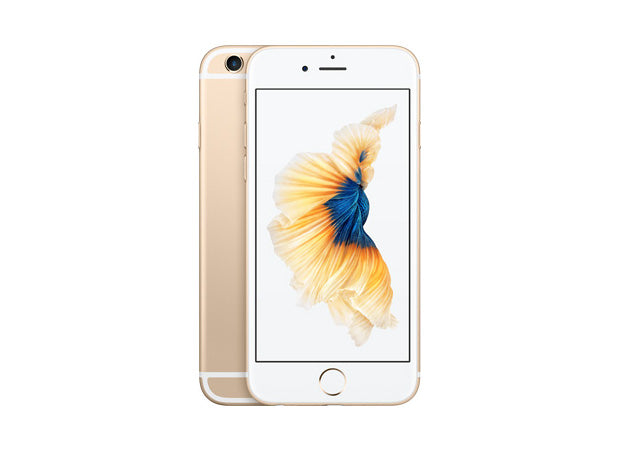 iP 6s Service