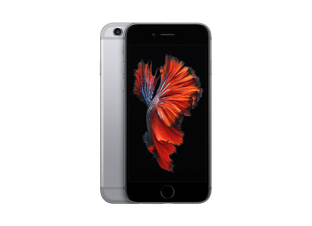 iP 6s Service