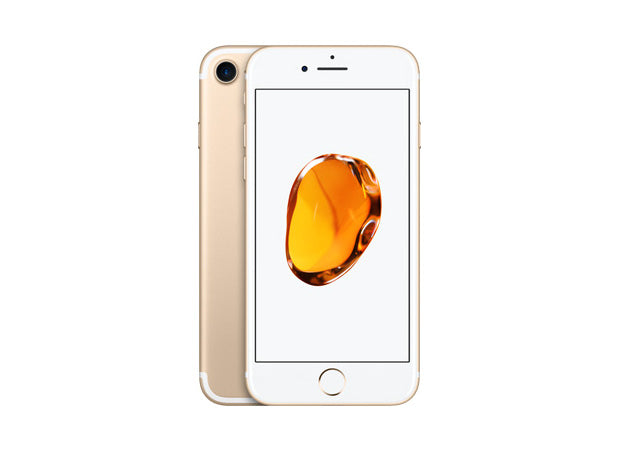 iP 7 Service