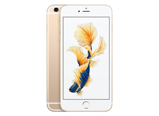 iP 6s Plus Service