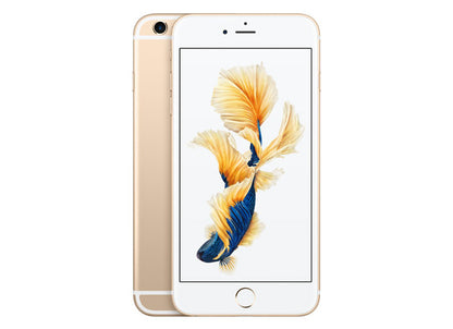 iP 6s Plus Service